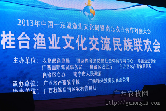2013桂台渔业文化交流民族联欢会