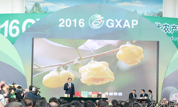 广西14个市市长在农交会上推广本市名优农产品（四）